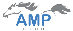 AMP STUD